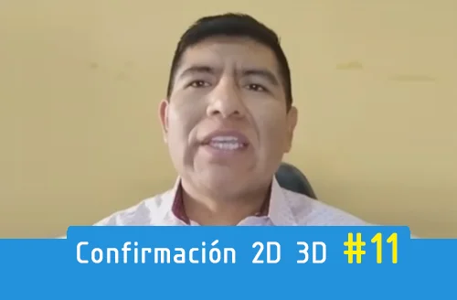 Paso 2 explicación adelanto pago movilidad consulta personalizado para levantamiento de plano